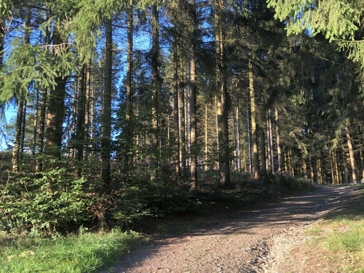 Ferienwohnungen Familie Schauerte Schmallenberg Bagian luar foto