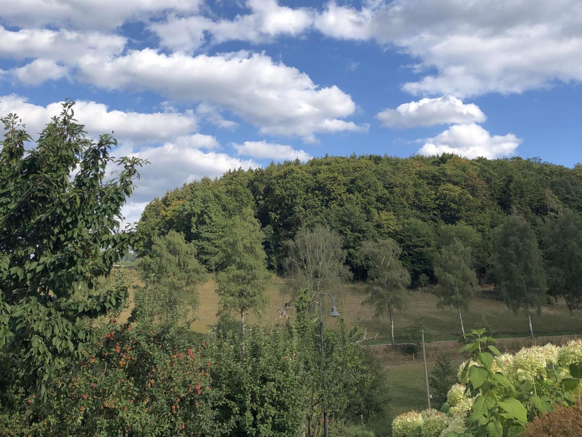 Ferienwohnungen Familie Schauerte Schmallenberg Bagian luar foto